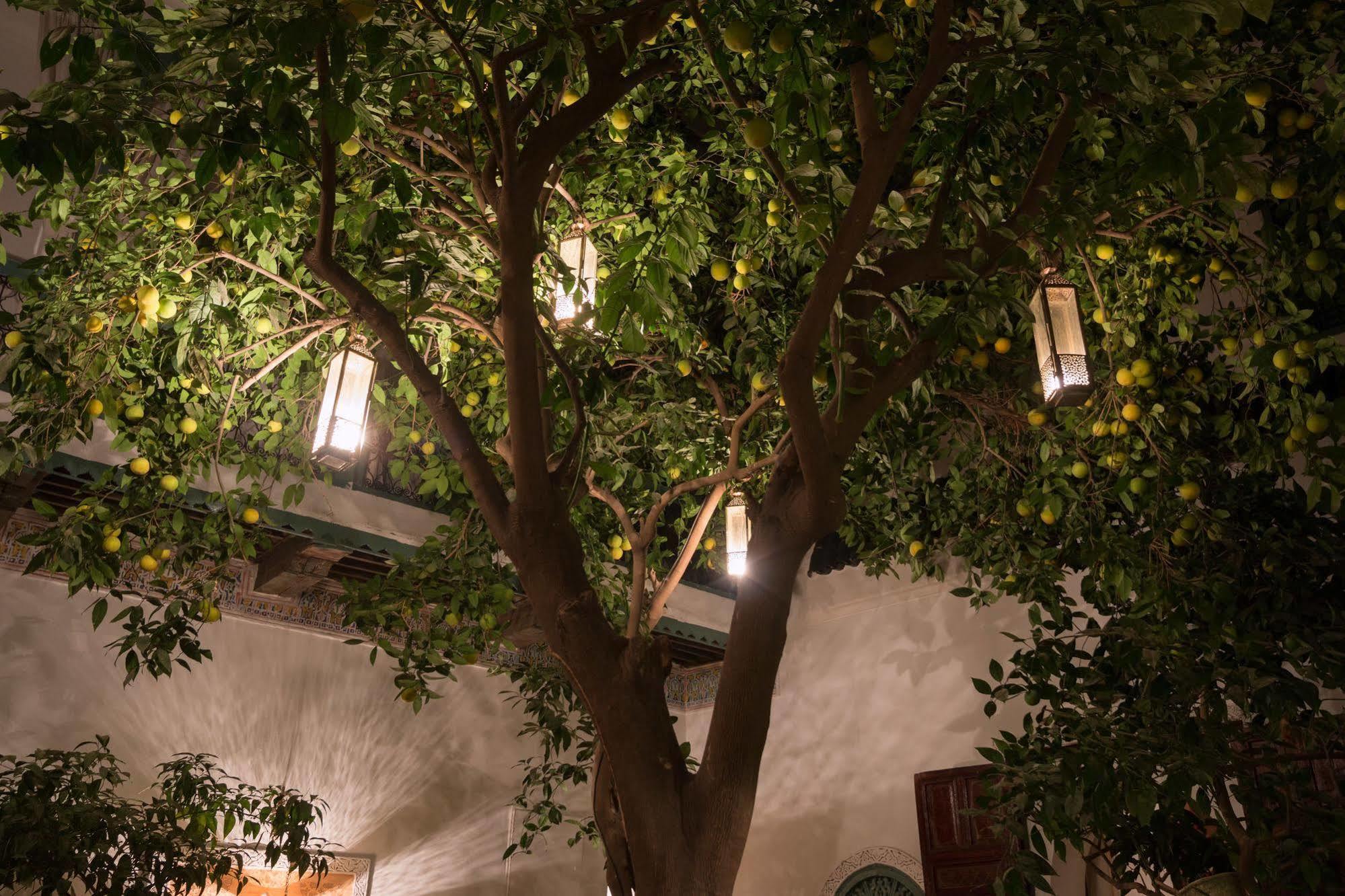 מרקש Origin Hotels Riad Magi מראה חיצוני תמונה